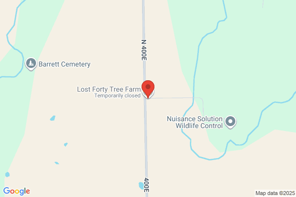 Lost Acres Christmas Trees