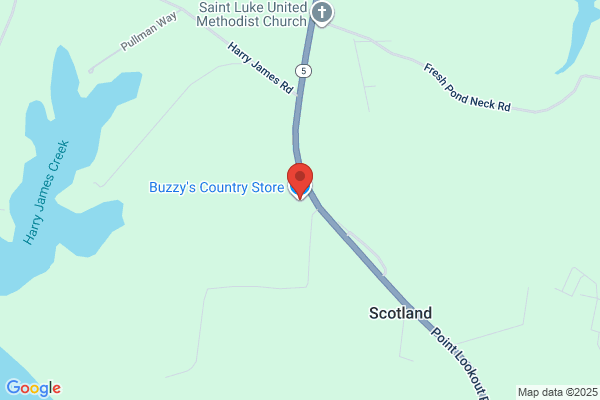 Buzz-In General Store Llc