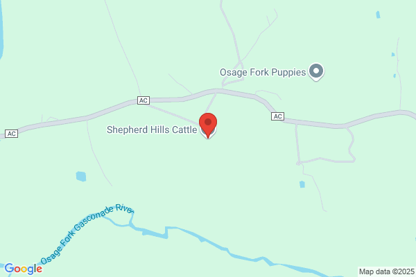 Shepherd Hills Cattle Co