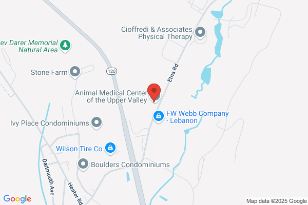 Animal Medical Center of the Upper Valley