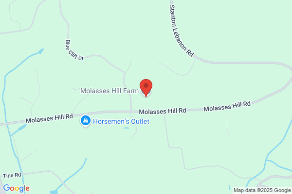 Molasses Hill Farm