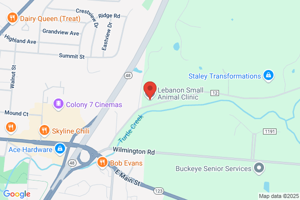 Acupuncture and Veterinary Services