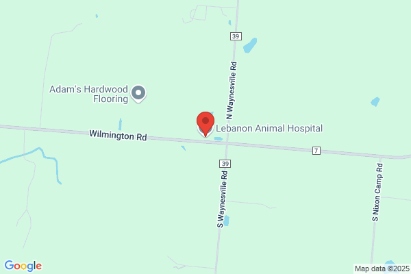 Lebanon Animal Hospital