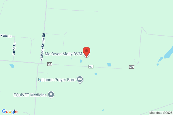 McOwen Molly DVM