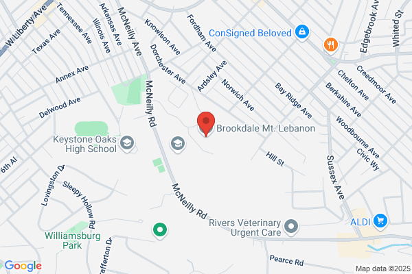 Brookdale Lebanon