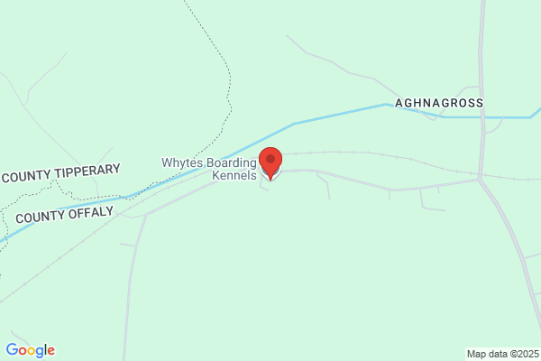 Whytewynd Kennels