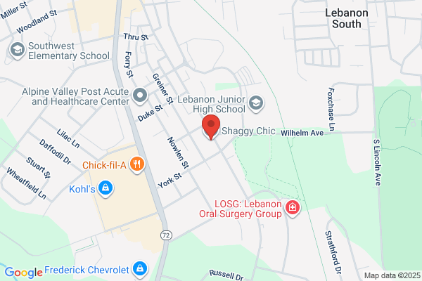 Moyer Martin D Dentist