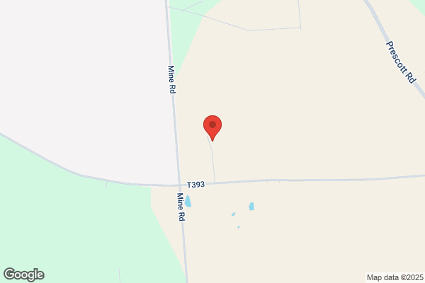 White Birch Farm