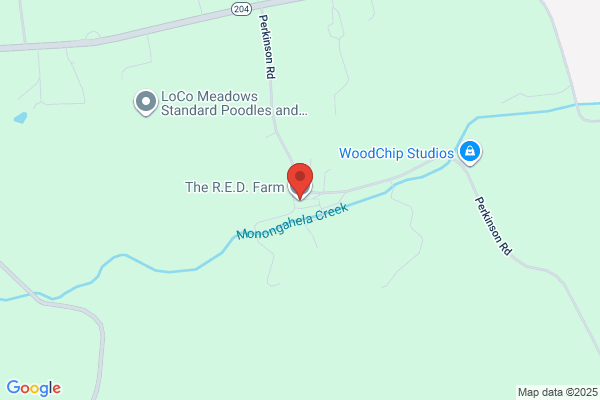 Red Barn Equine Outfitters