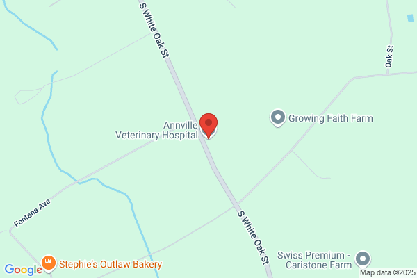 Annville Veterinary Hospital