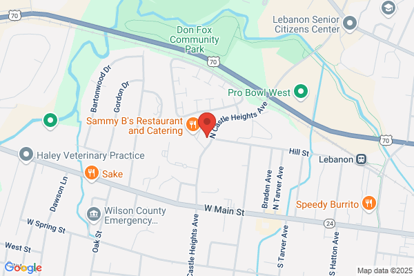 Lebanon City of, Business Tax and License