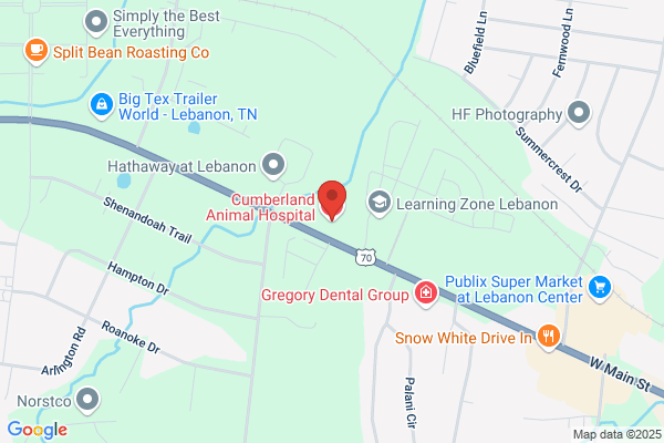 Cumberland Animal Hospital
