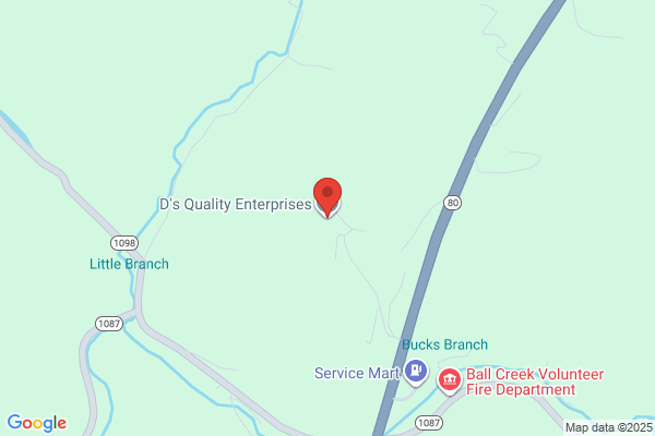 Ds Quality Enterprises Inc