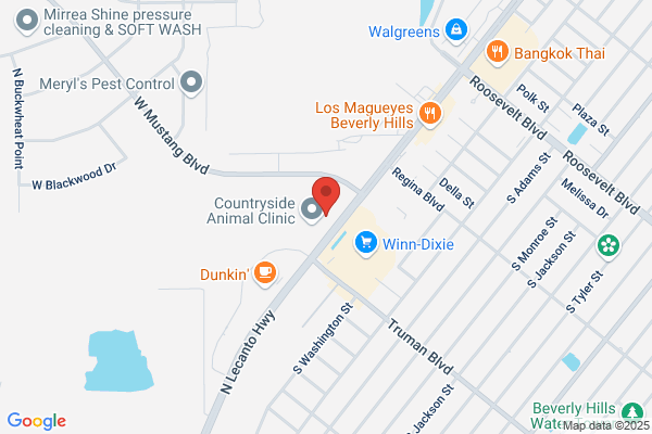 Beverly Hills Eye Clinic