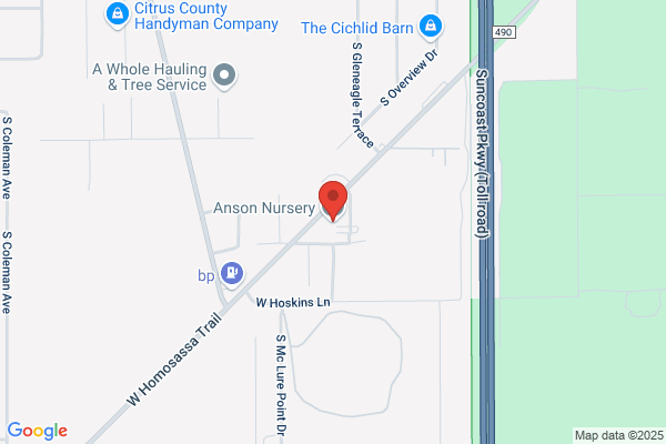 Anson Nursery