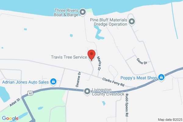 Travis Tree Service