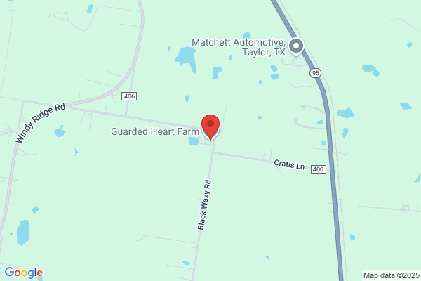 Heath Taylor Racing Stables