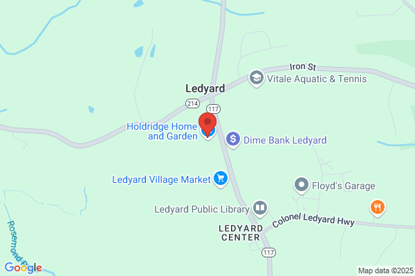 Ledyard Video & Cafe
