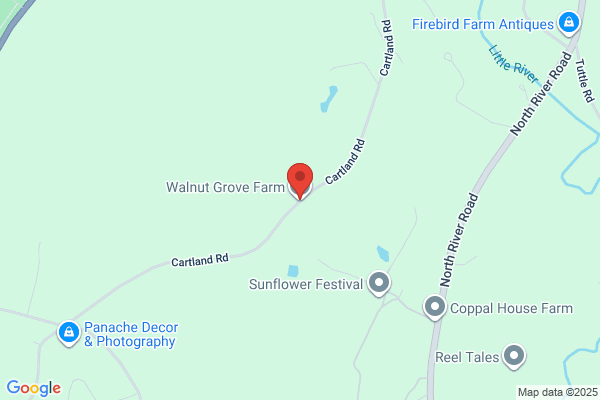 Walnut Grove Farm