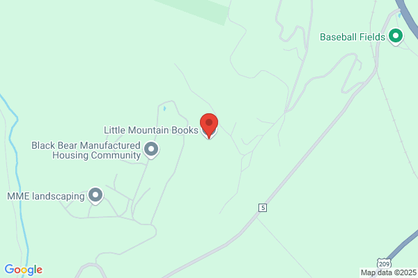 Blue Mountain Books & Manuscripts