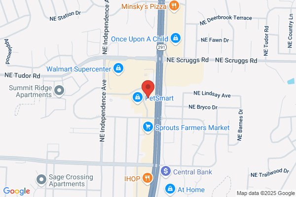 AutoZone Auto Parts
