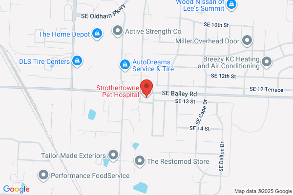 Strothertowne Vet Hospital