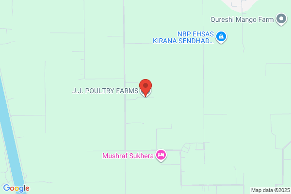 J & T Poultry