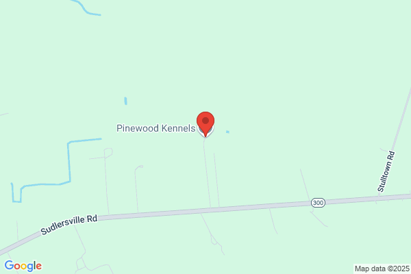 Piney Hollow Boarding Kennels