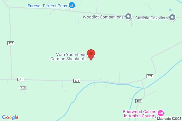 HosPETality Inn & Ohio German Shepards For Sale