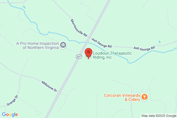 Loudoun Therapeutic Riding Foundation Inc