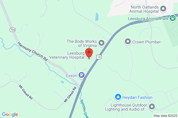 Leesburg Veterinary Hospital, A Thrive Pet Healthcare Partner