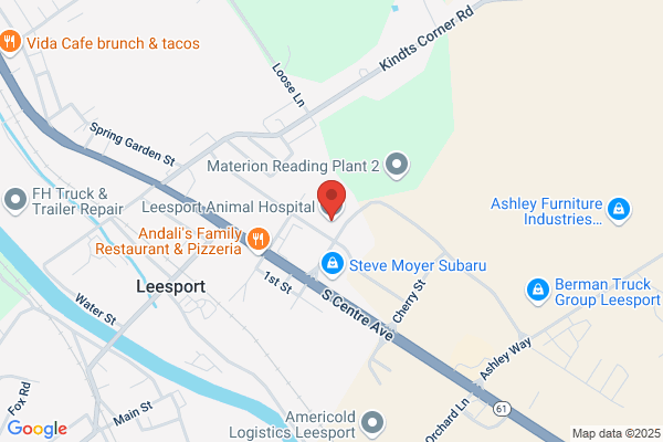 Leesport Pet Resort