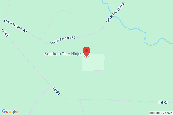 Southern Tree Ninjas