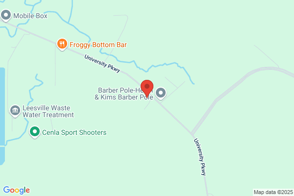 Hilton's Auto Salvage and Garage