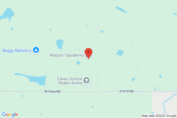 Watson's Taxidermy