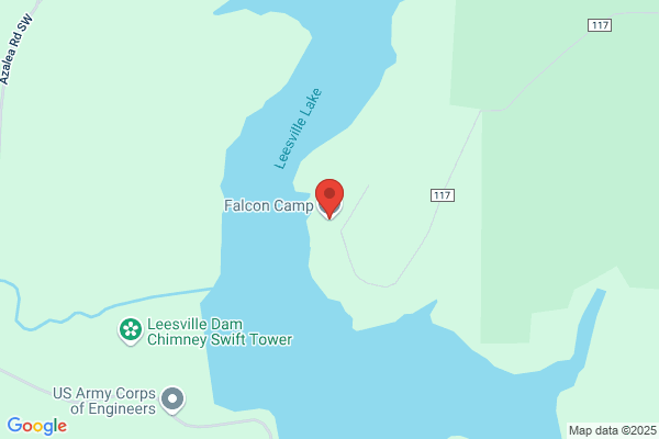 Camp Falcon