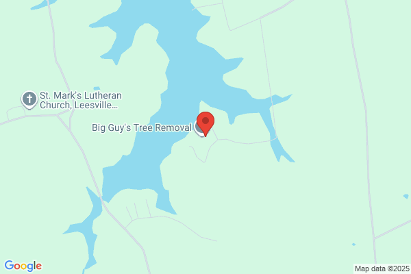 Big Guy's Tree Removal LLC