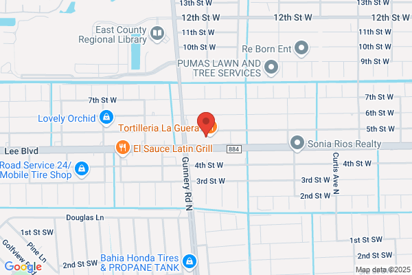 Lighthouse Pet Clinic