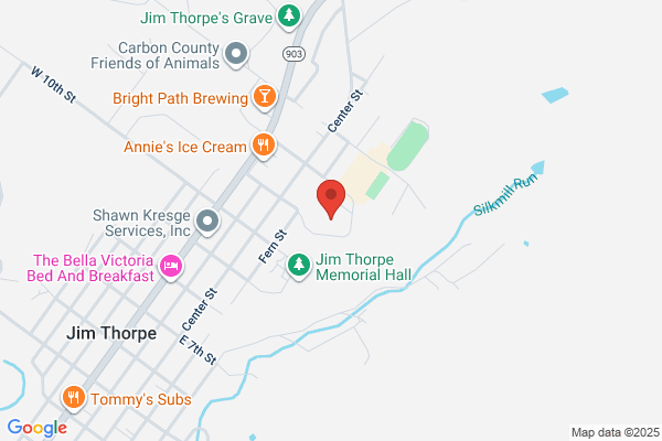 Jim Thorpe Area School