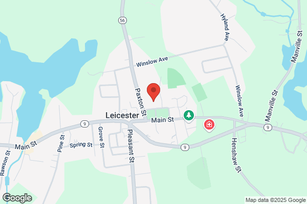 Leicester Town of, Planning Board