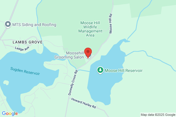 Spencer Rental Center