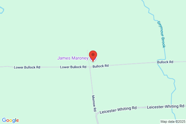 James Frames & Liza Myers Gallery