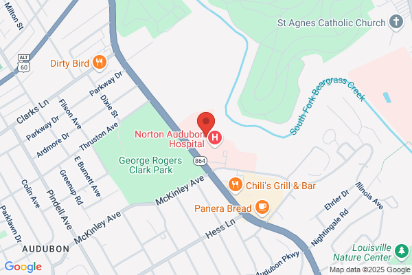 Norton Vascular Surgery
