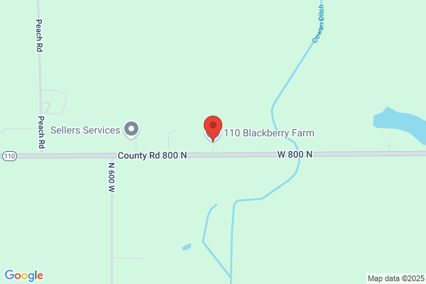 Siders Blueberry Farm