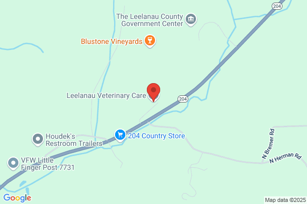 Leelanau Veterinary Care