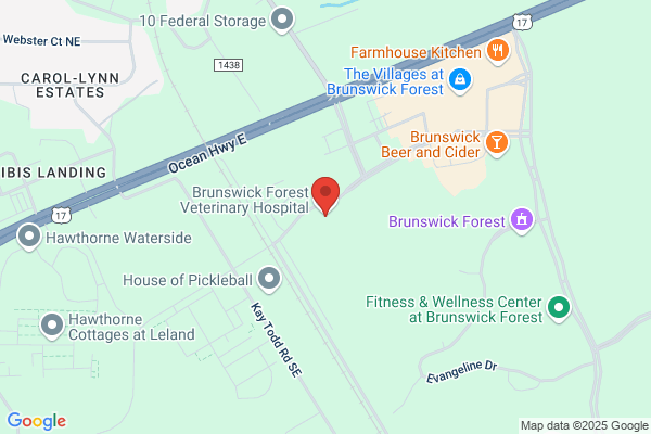 Boomerang Animal Rehabilitation Center