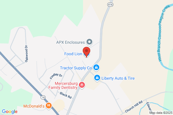 Food Lion