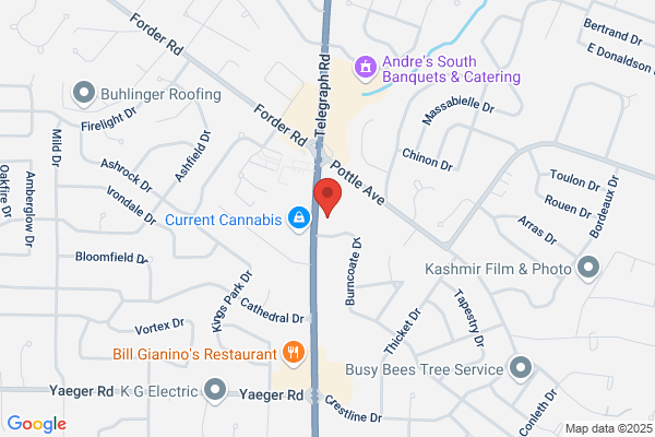 World Dental Inc