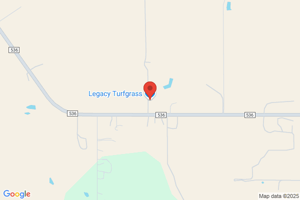 Legacy Turfgrass