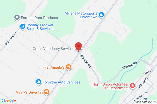 Geary Veterinary Services